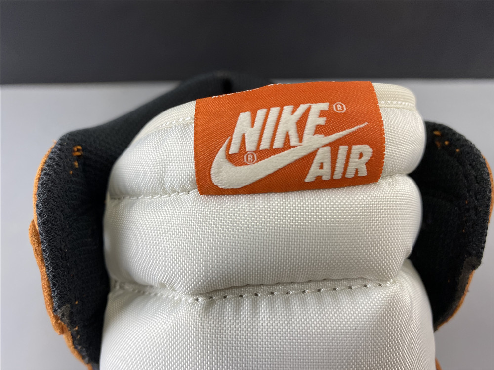 Air Jordan 1 retro high OG